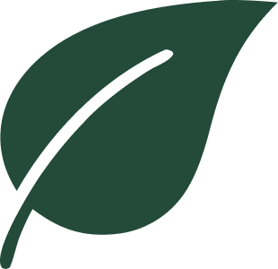 Group 25.png__PID:3325509f-5238-4fd2-b05d-0bac77cacab5